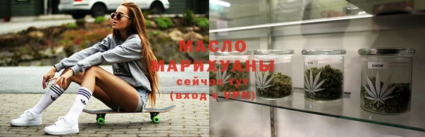 молекула духа Осташков