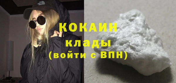крисы Осинники