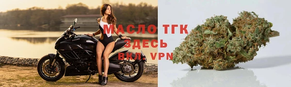 крисы Осинники