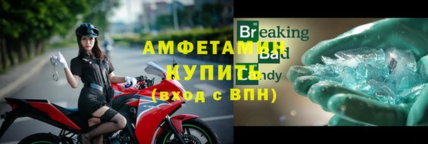 молекула духа Осташков