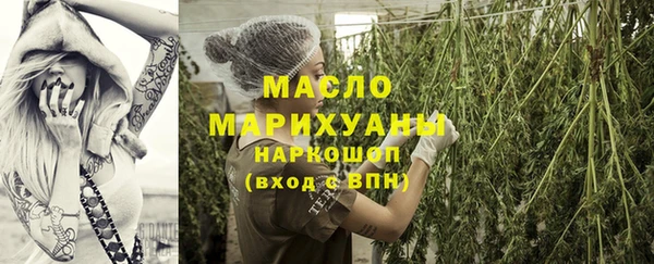 крисы Осинники