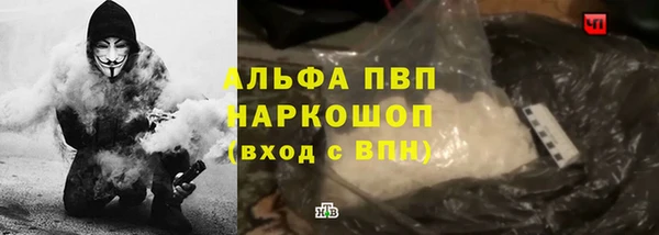 крисы Осинники