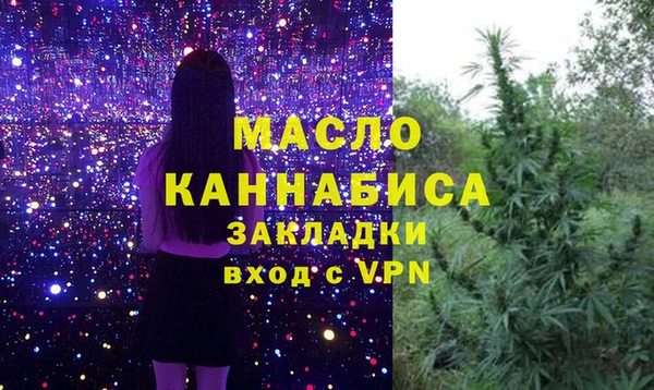 молекула духа Осташков