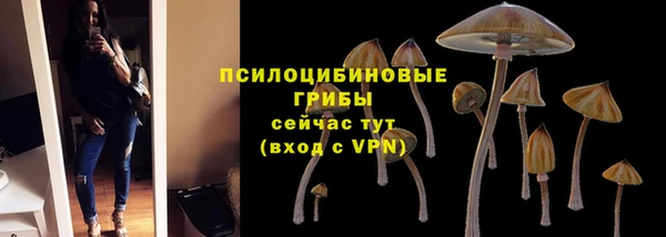 молекула духа Осташков