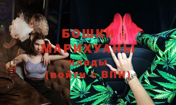 молекула духа Осташков