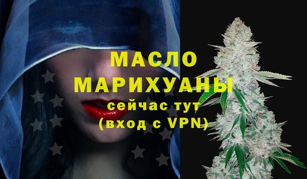 молекула духа Осташков