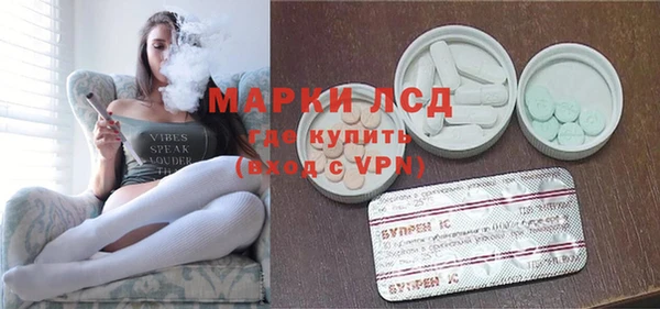 молекула духа Осташков