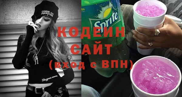 молекула духа Осташков
