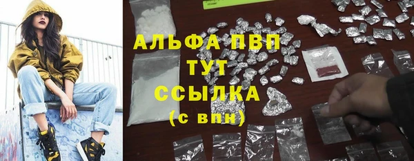 молекула духа Осташков