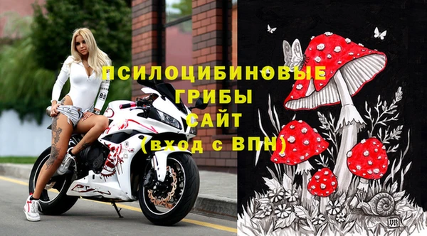 молекула духа Осташков
