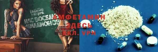 молекула духа Осташков