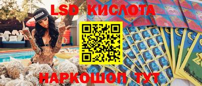 PSILOCYBIN Краснодар
