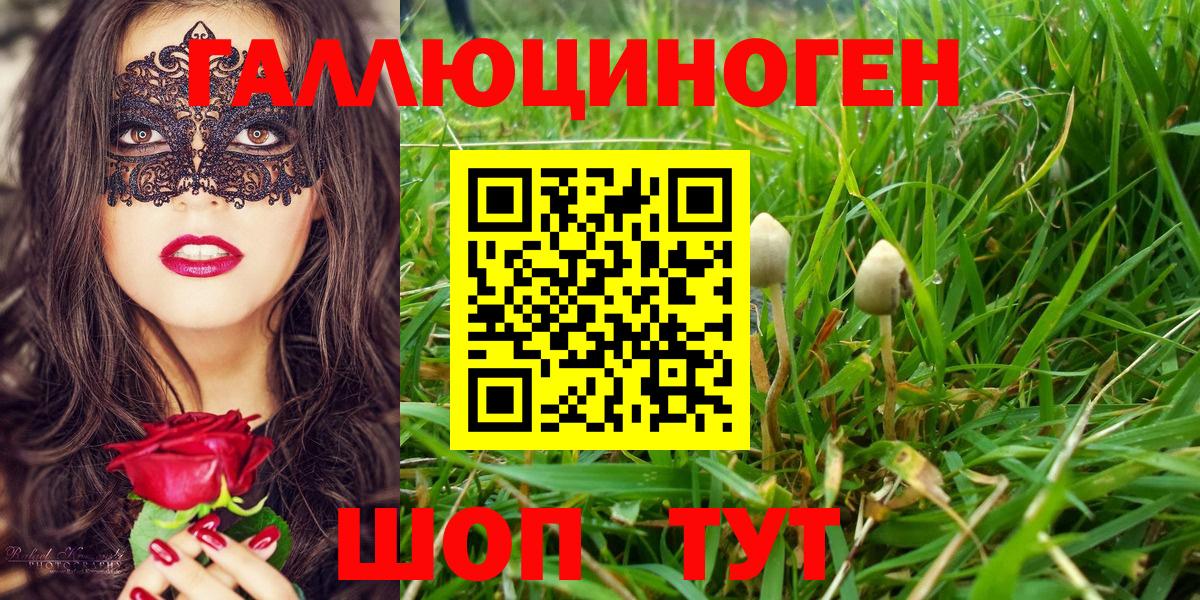 Галлюциногенные грибы GOLDEN TEACHER Шахты